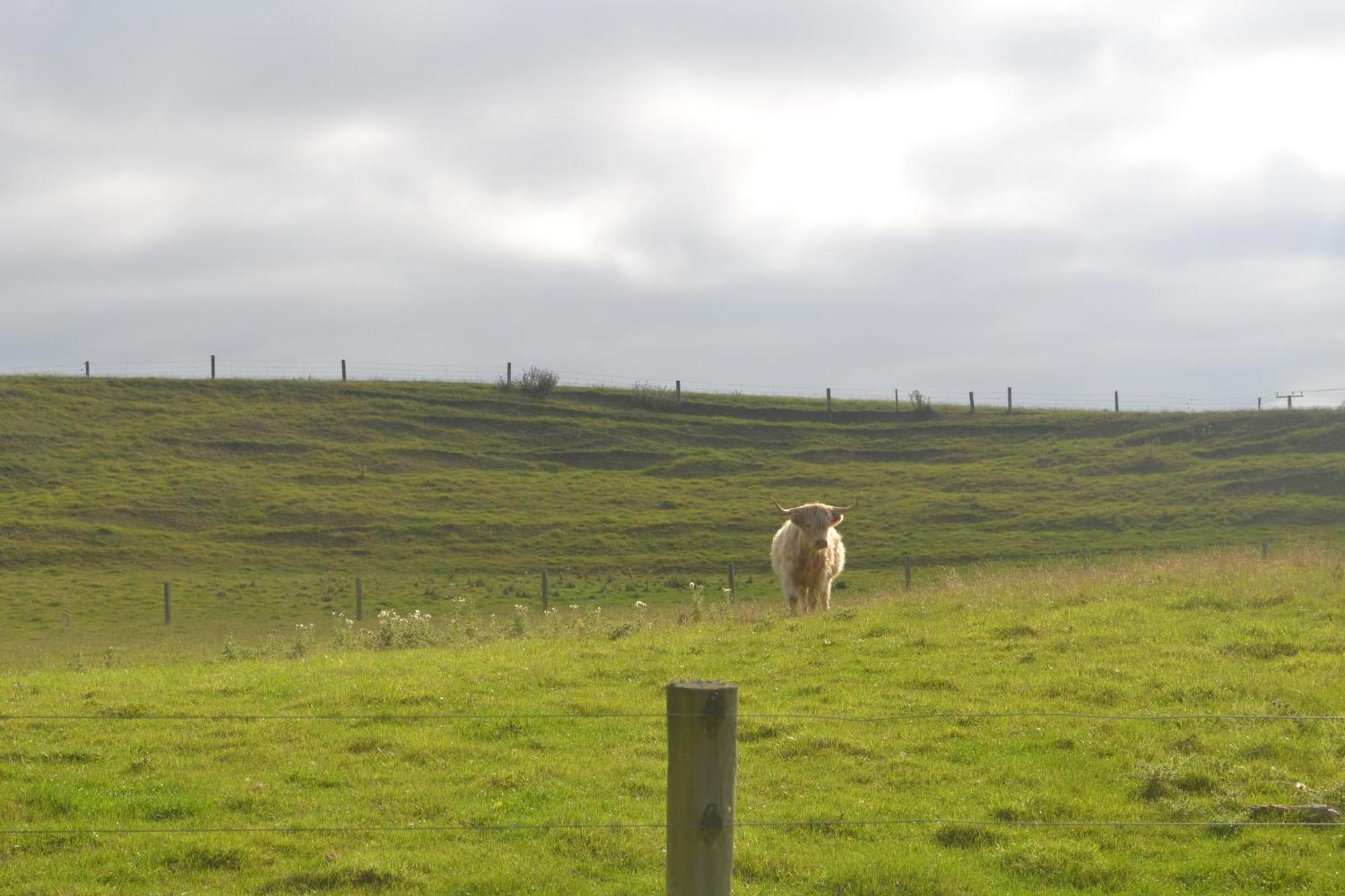 Highlands On Homestead Oamaru Zewnętrze zdjęcie