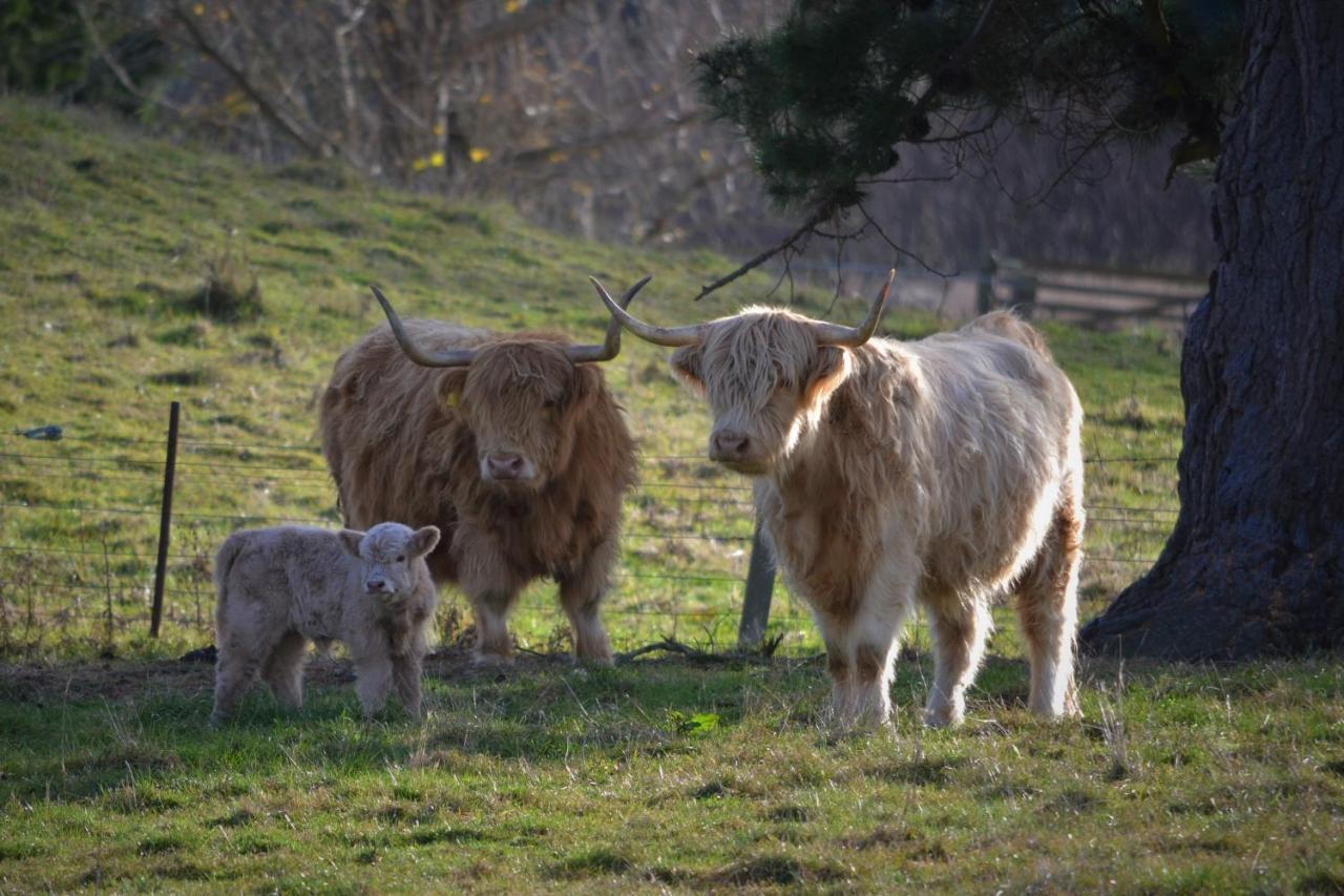 Highlands On Homestead Oamaru Zewnętrze zdjęcie